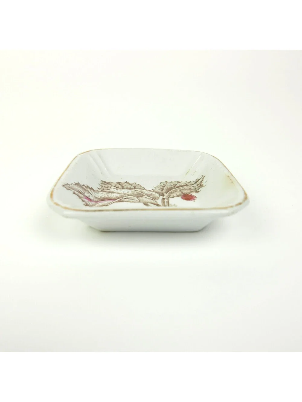Antique Alfred Meakin Royal Ironstone Botanical Butter Pat Square Dish 1890s